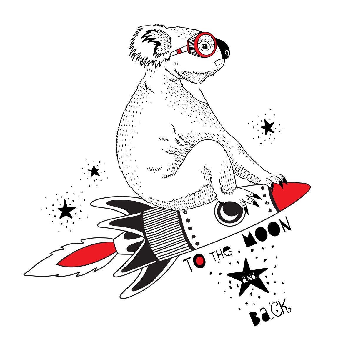 Fototapeta rakieta koala