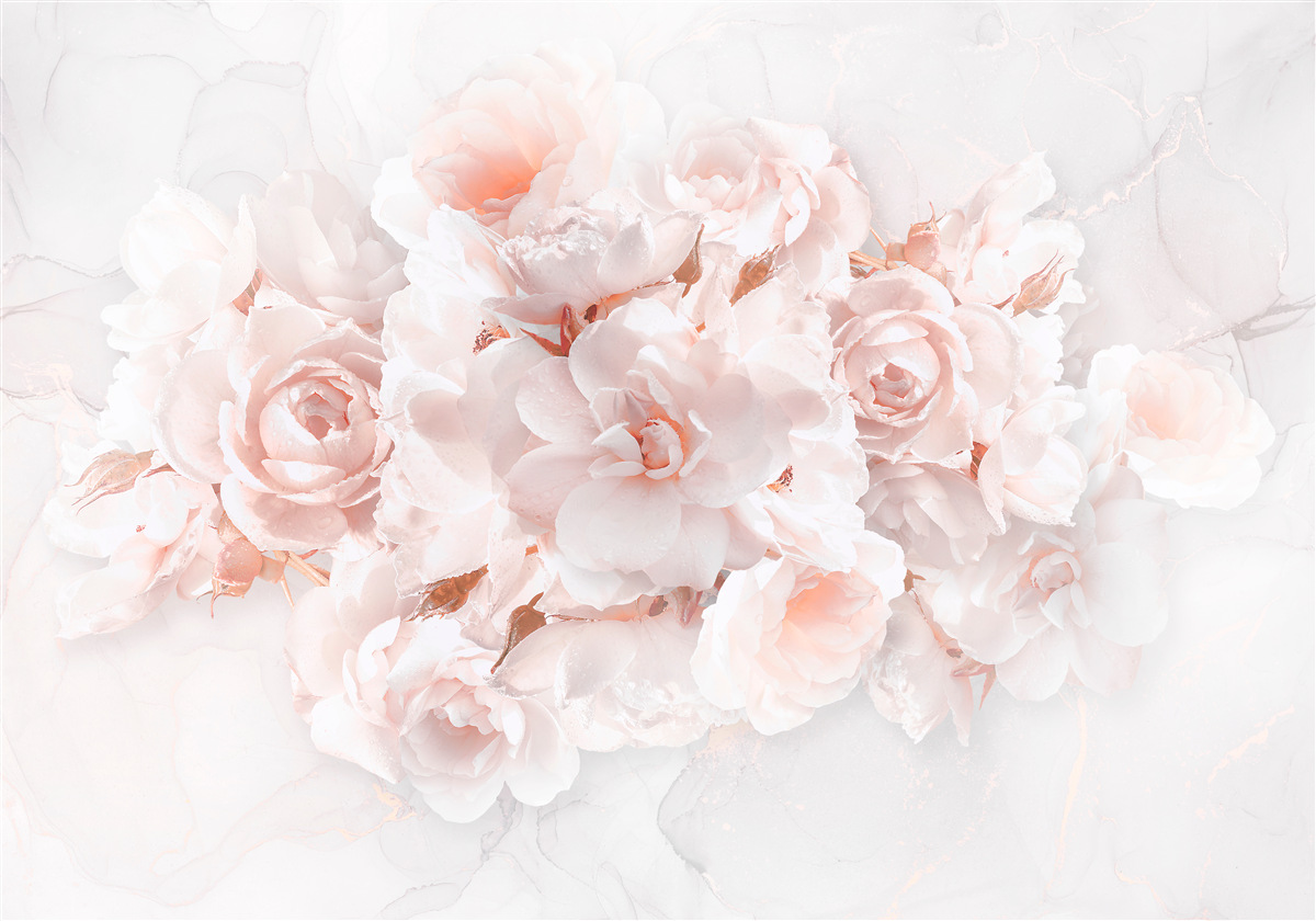 Fototapeta kompozycja wykwintnych piwonii