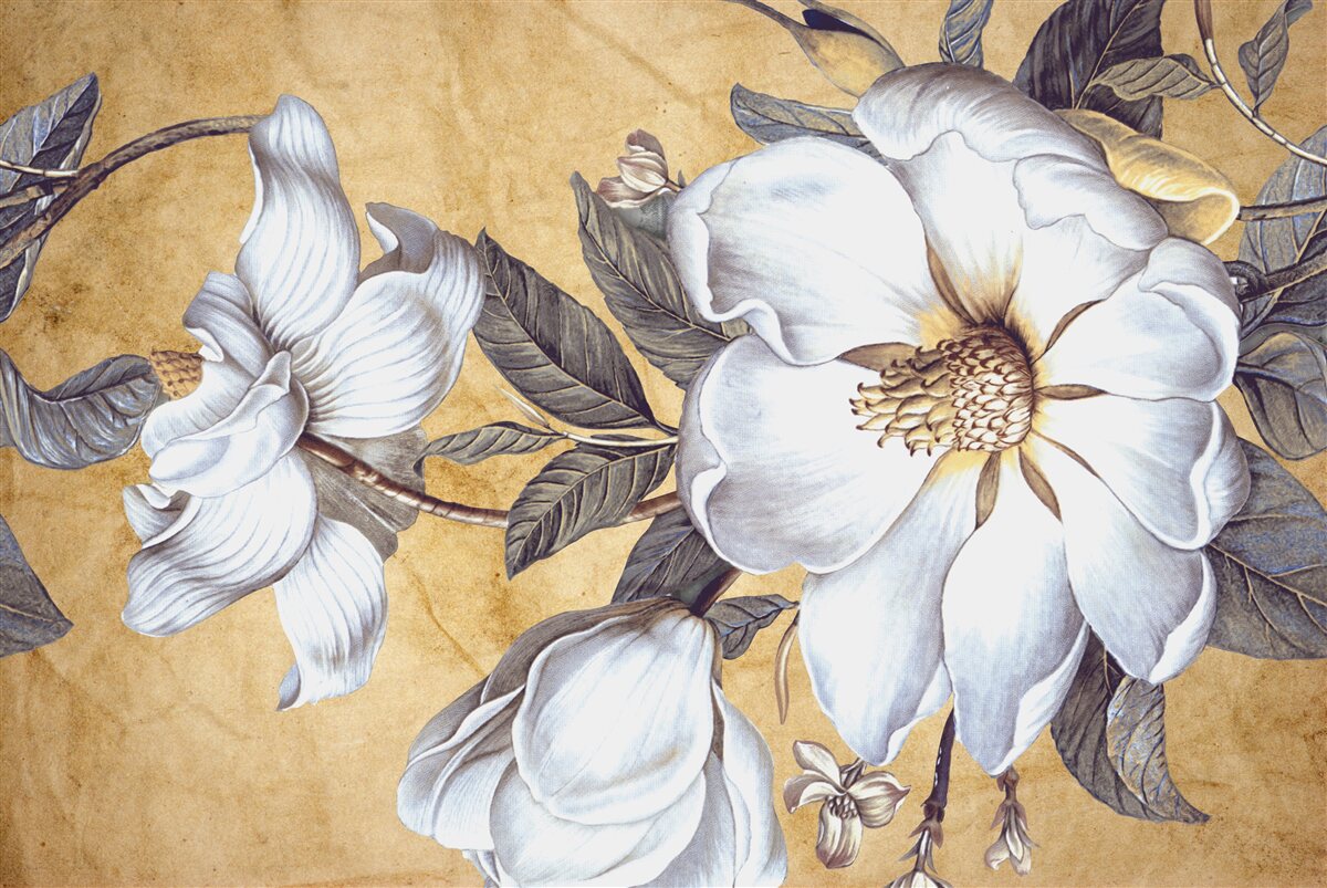 Fototapeta kwitnące białe pąki na gałęziach