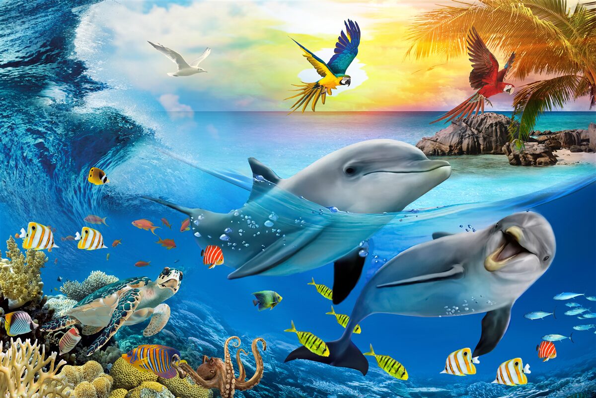 Fototapeta Świt czeka na delfiny