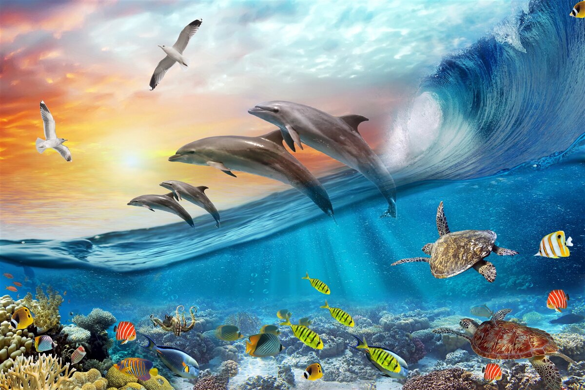 Fototapeta delfiny wyskakują z fal