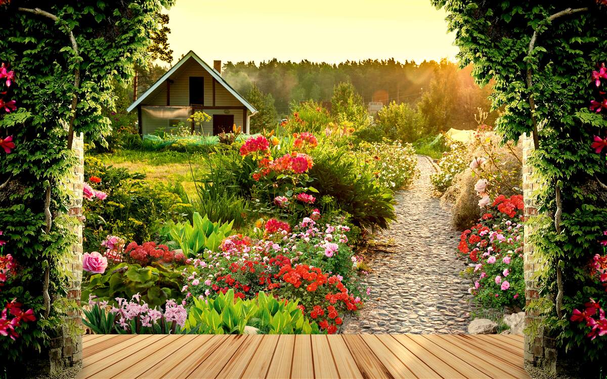 Fototapeta naturalny krajobraz z domem