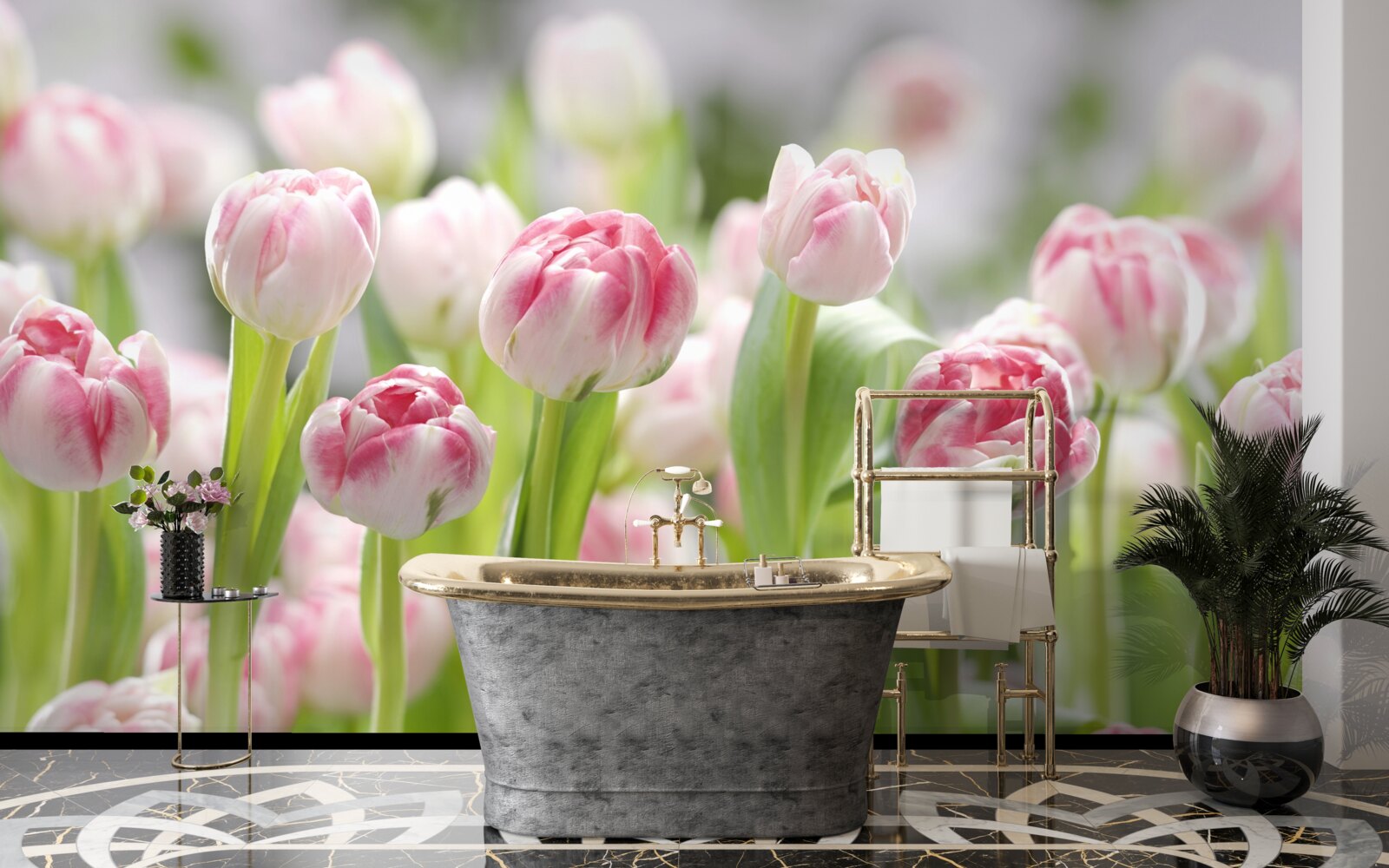 Fototapeta nieotwarte pąki tulipanów