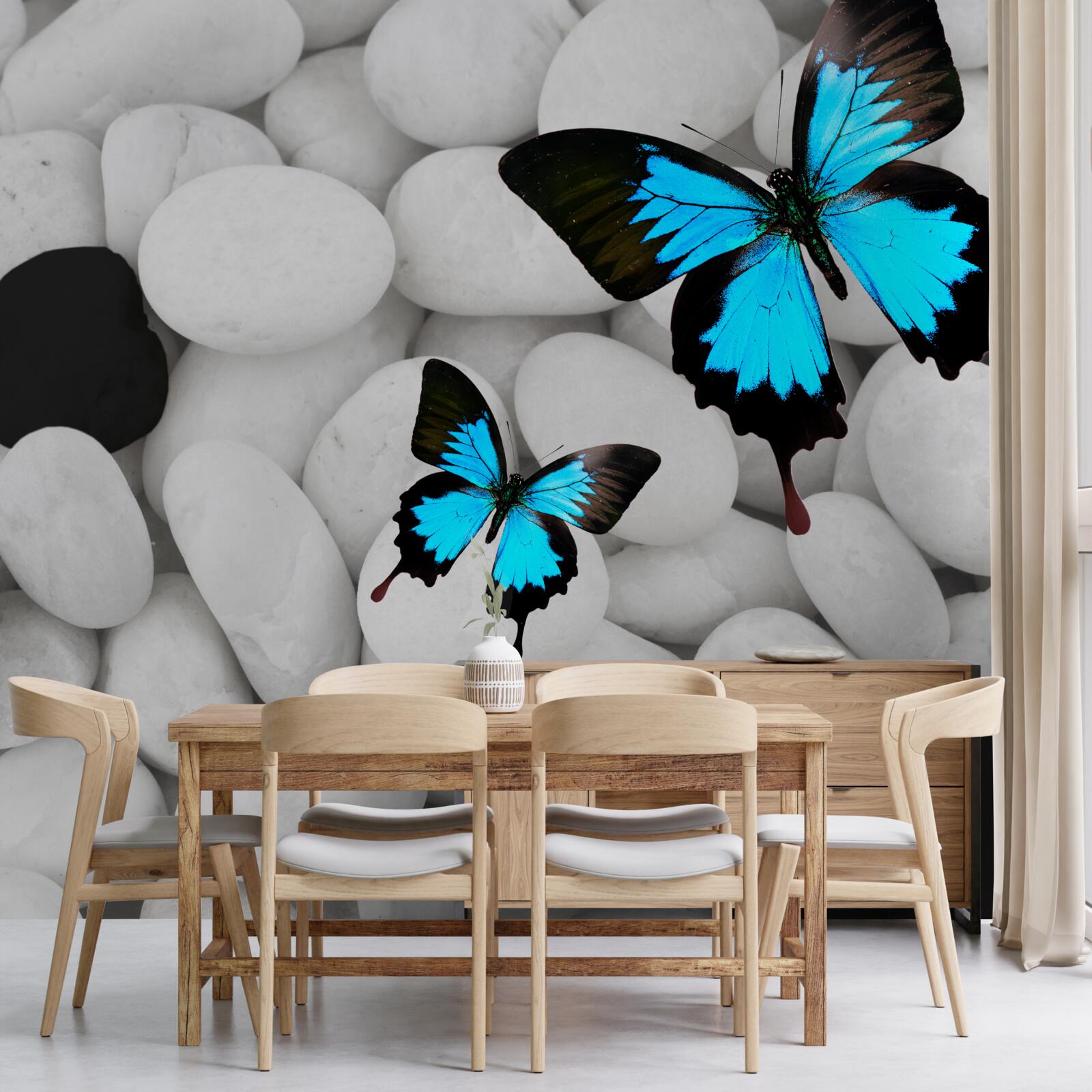 Fototapeta barwne motyle na jasnych kamieniach