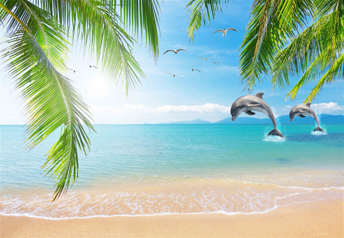 Fototapeta dwa delfiny u wybrzeży z lazurową wodą