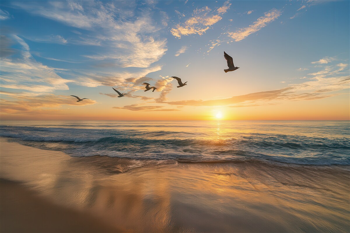 Fototapeta mewy nad morzem o wschodzie