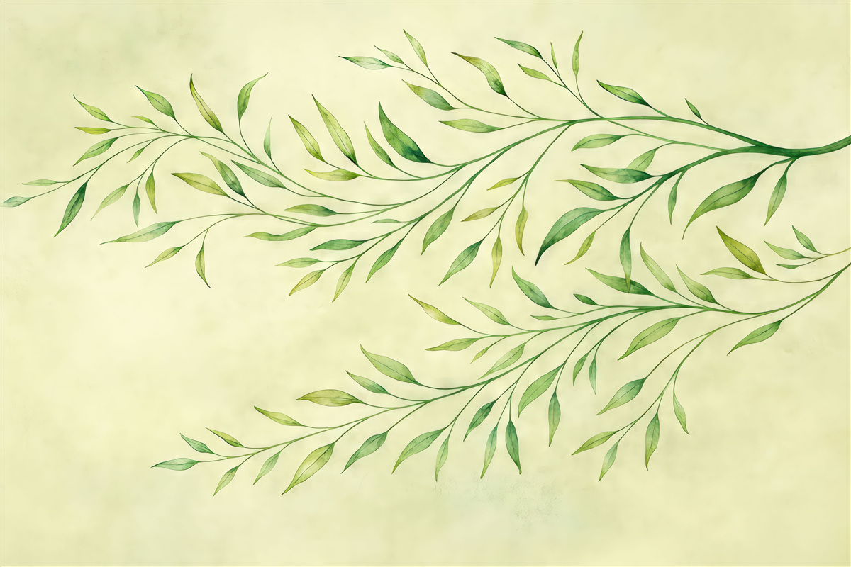 Fototapeta delikatne zielone gałązki akwarelą