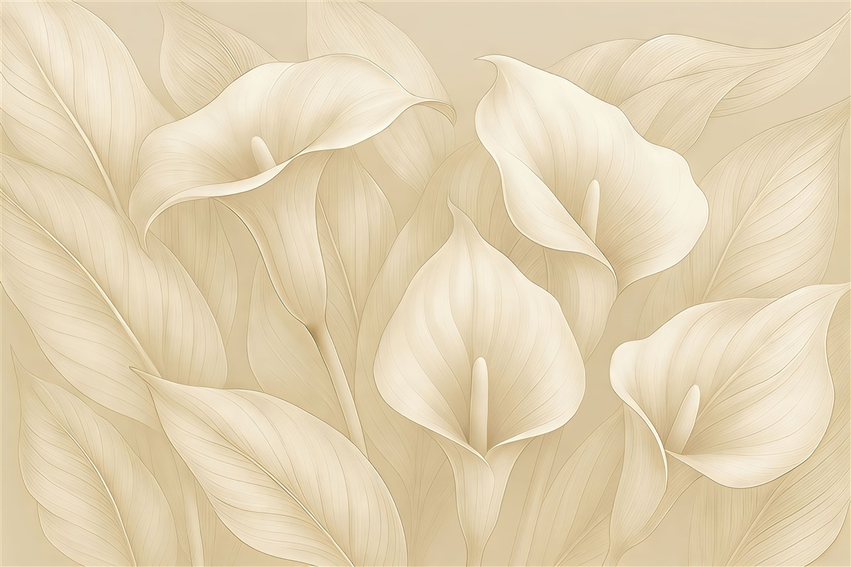 Fototapeta kremowe kalie w subtelnej elegancji