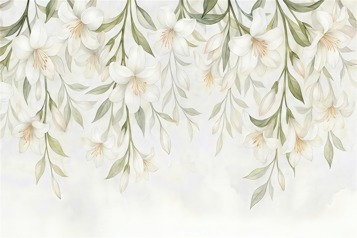 Fototapeta Łagodne kwiaty jaśminu z wierzchu.