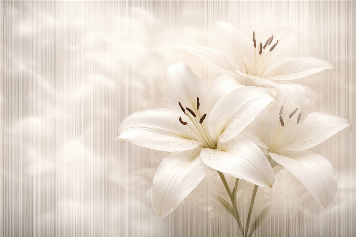 Fototapeta kremowe lilie w subtelnej poświacie