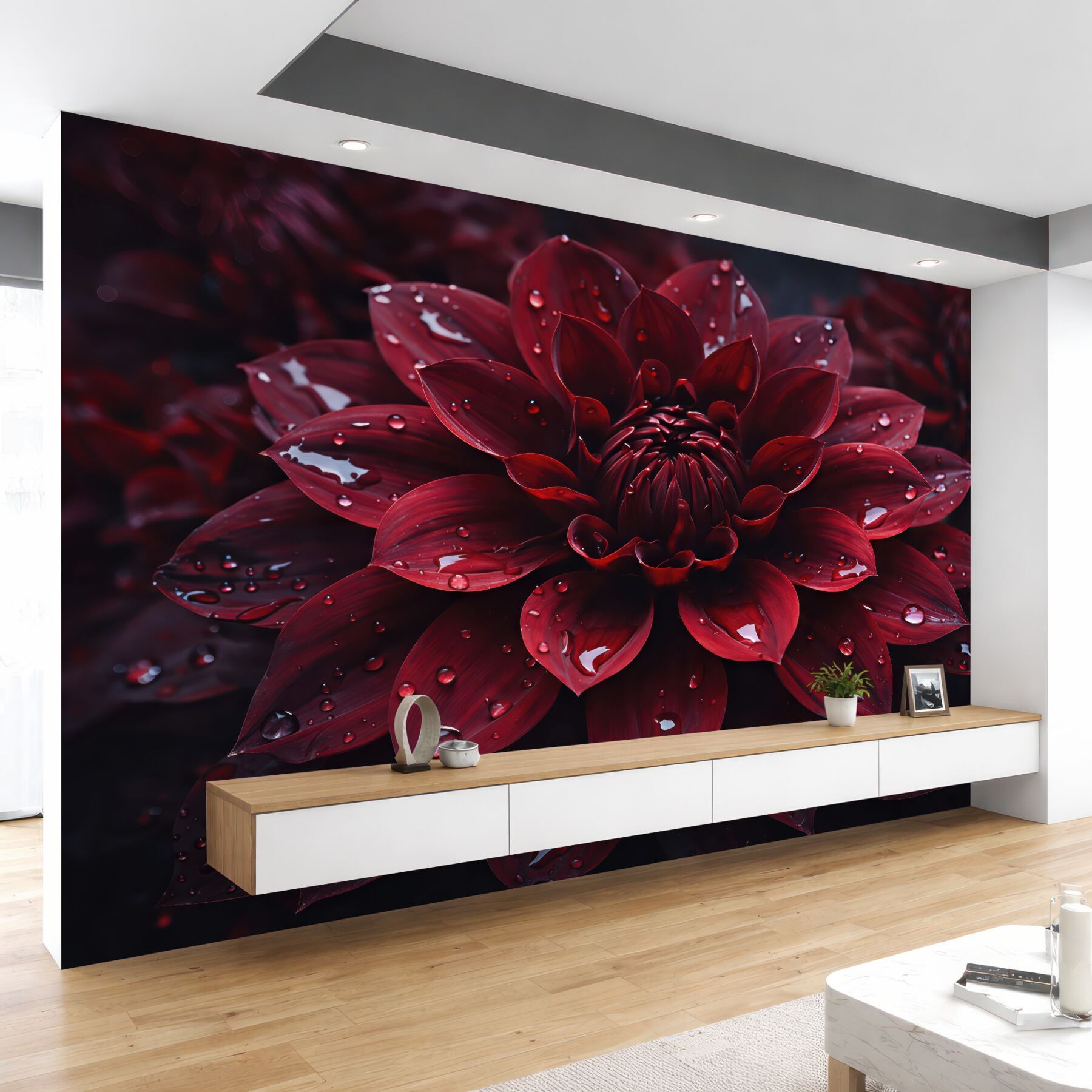 Fototapeta rubinowa dalie w kroplach rosy