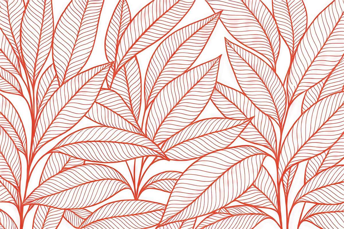 Fototapeta koralowe liście w nowoczesnym rysunku