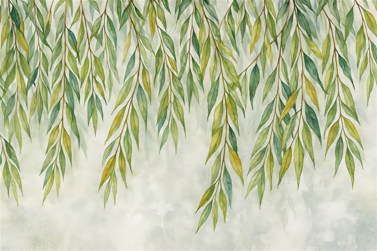 Fototapeta zwiewne gałązki wierzby akwarelowej