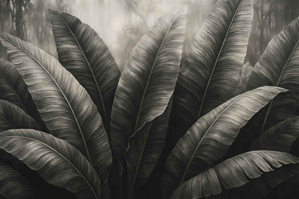 Fototapeta ciemne liście tropikalne we mgle