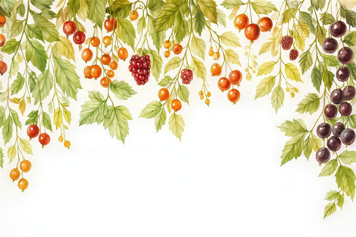 Fototapeta akwarelowe gałązki z owocami