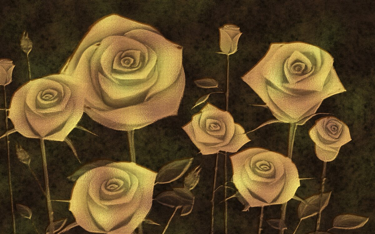 Fototapeta na brązowym tle znajduje się biały pączek róży