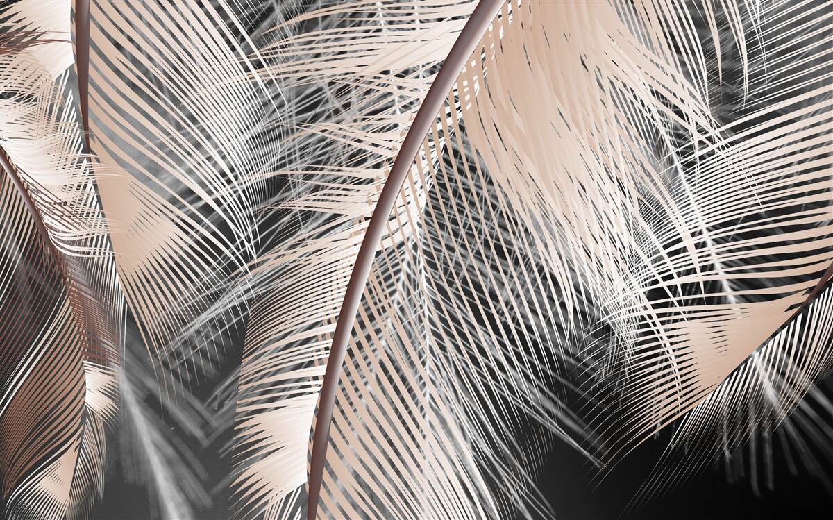 Fototapeta szczegółowy obraz piór