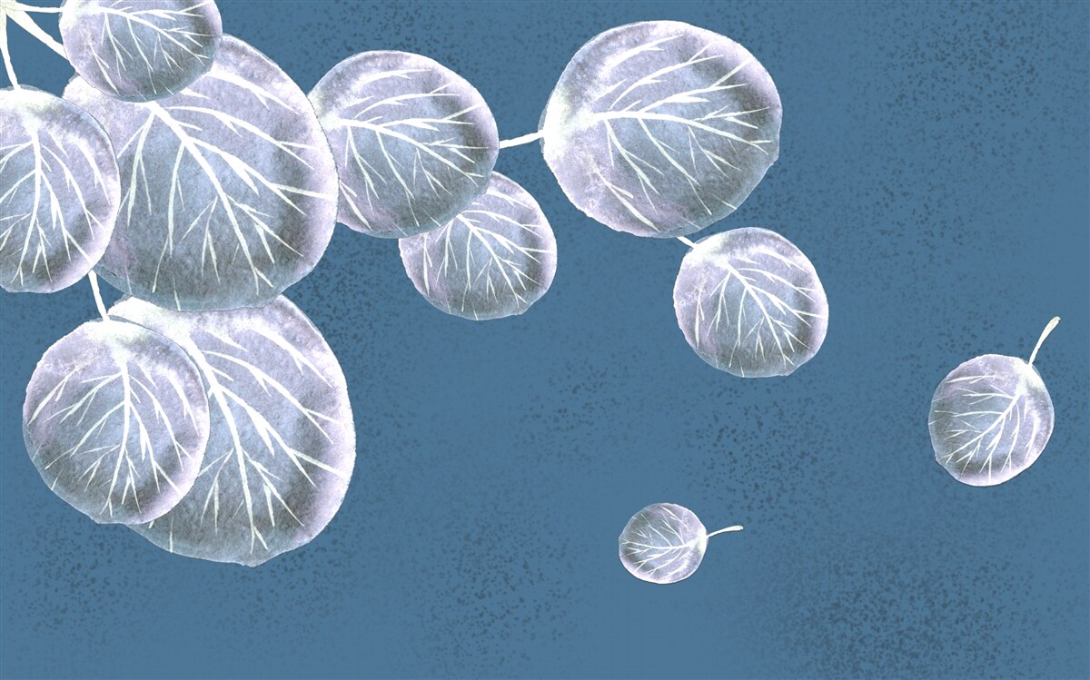 Fototapeta liście spadające na niebo