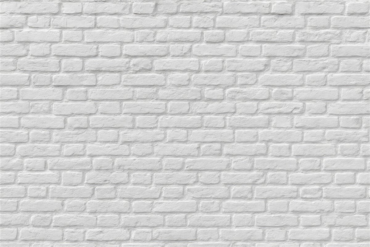 Fototapeta Roślina, liść oraz botanika.