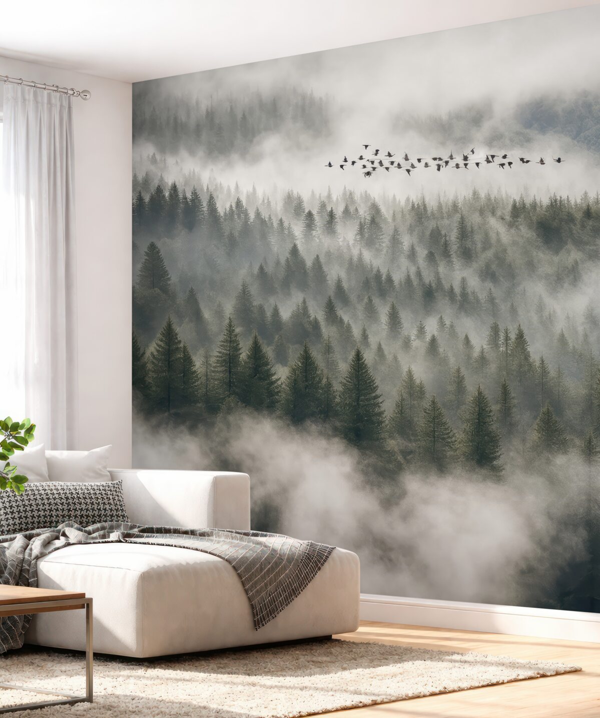 Fototapeta Mglisty las i ptaszki.