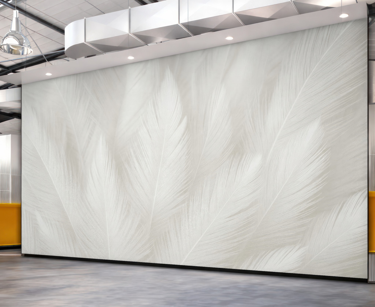 Fototapeta Białe piórka.