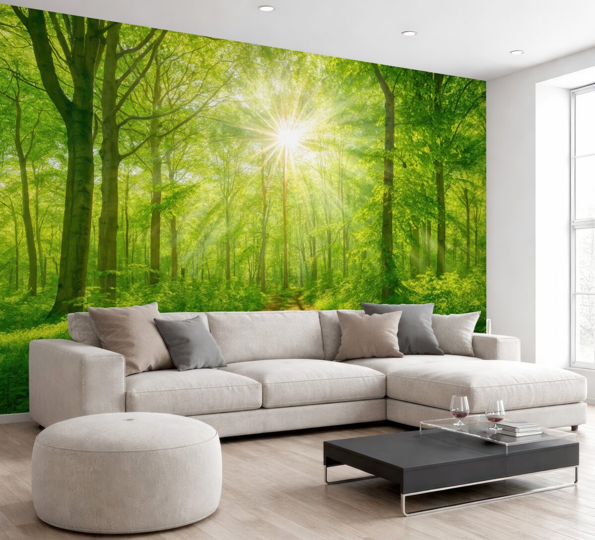 Fototapeta Trasa w nasłonecznionym lesie.