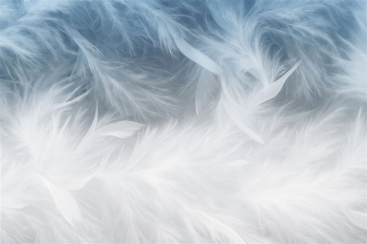 Fototapeta Niebieskie pióra.