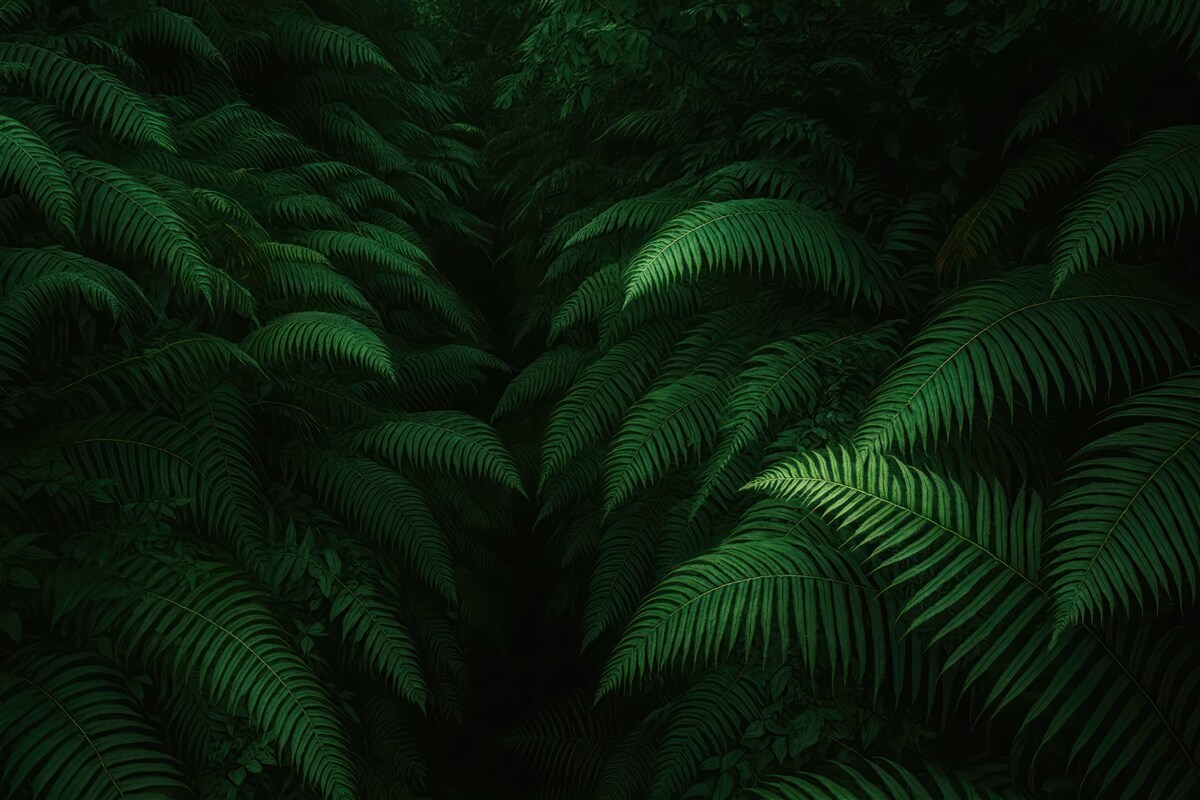 Fototapeta Zarośla fernów.