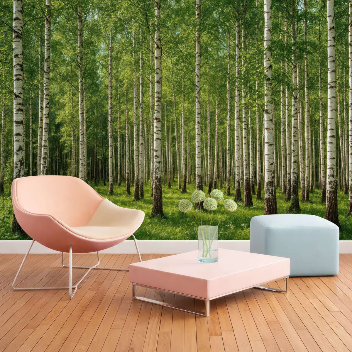 Fototapeta Gaj brzozowy.