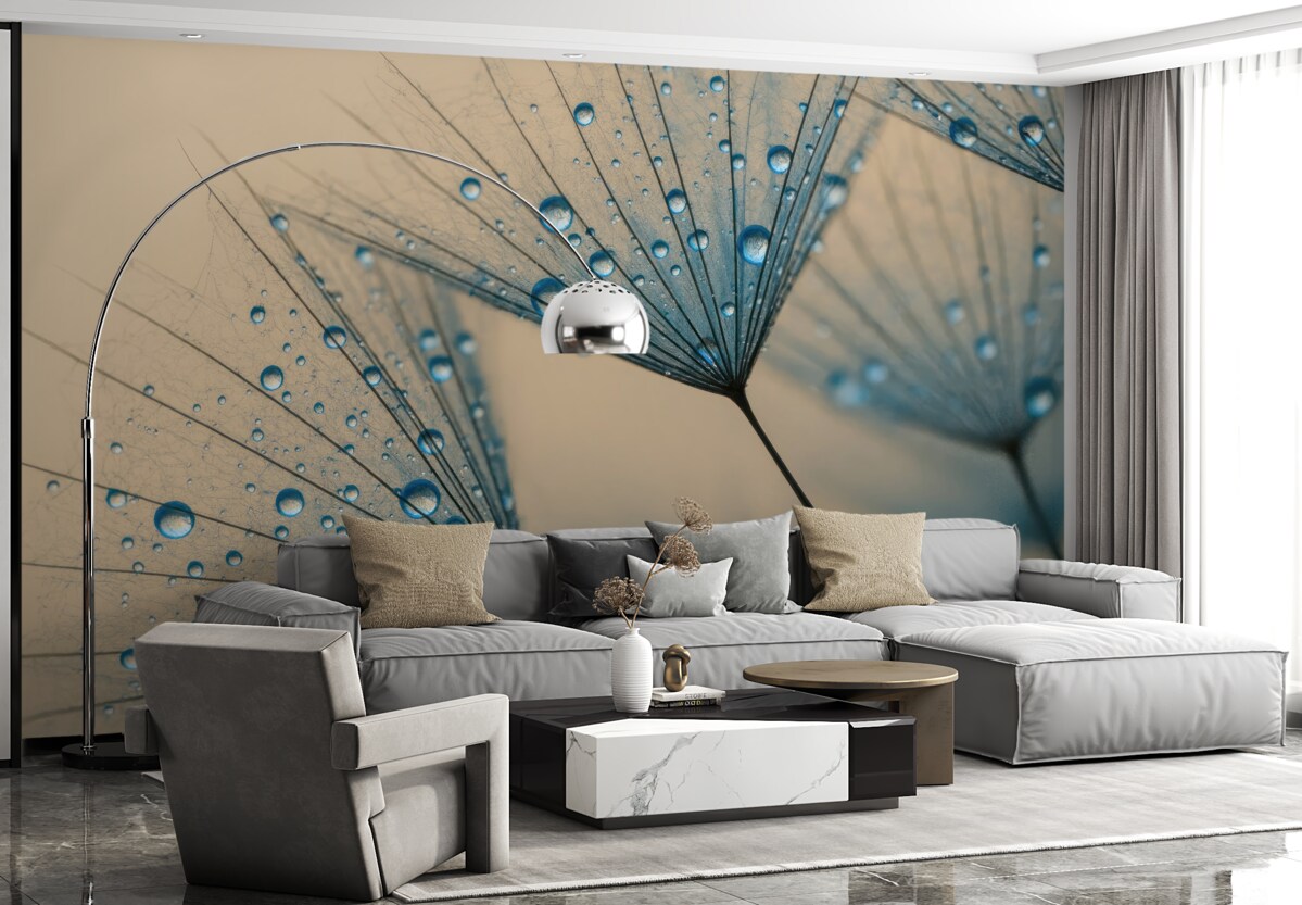 Fototapeta Mlecze z taszącymi kroplami wody.