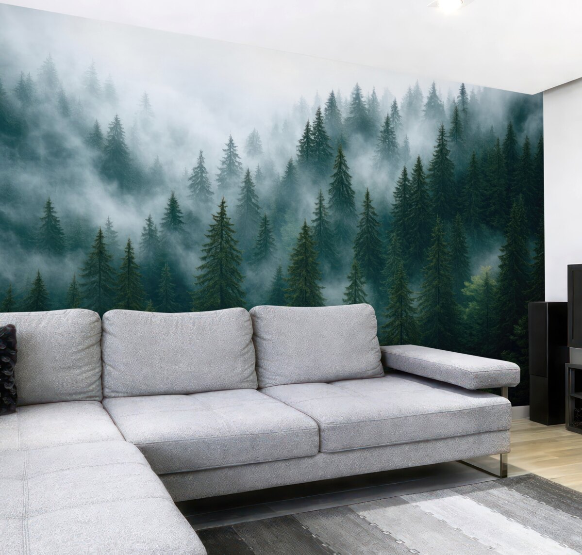 Fototapeta Zamglony las.