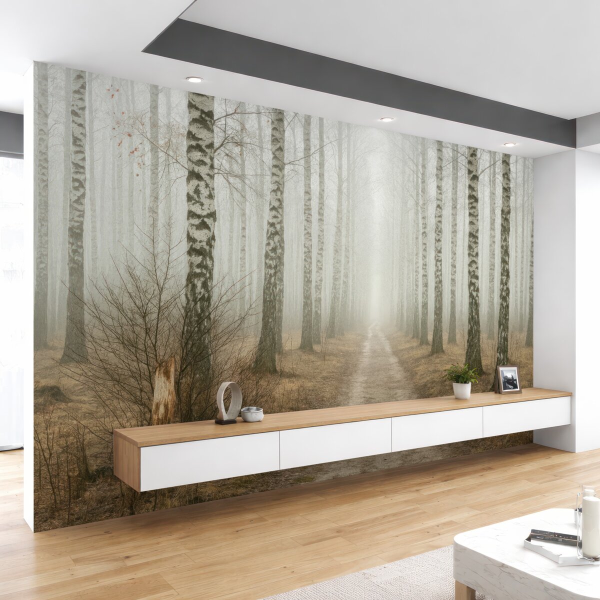 Fototapeta Brzozy w mgle.