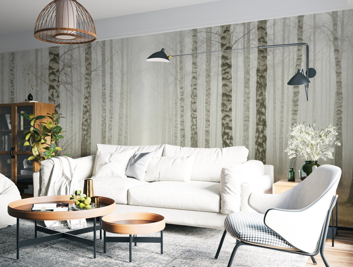 Fototapeta Brzozy w mgle.