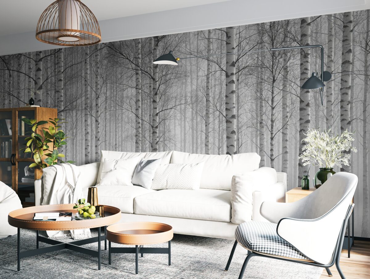 Fototapeta Poranna mgła w lesie brzozowym.