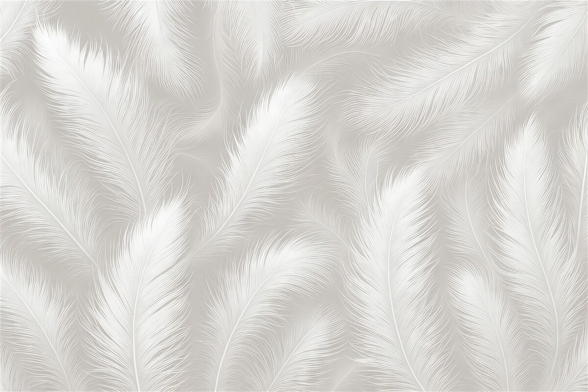 Fototapeta Delikatne białe pióra