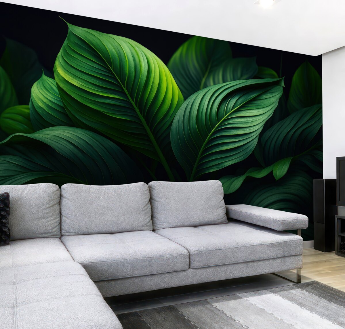 Fototapeta Transport tropikalny