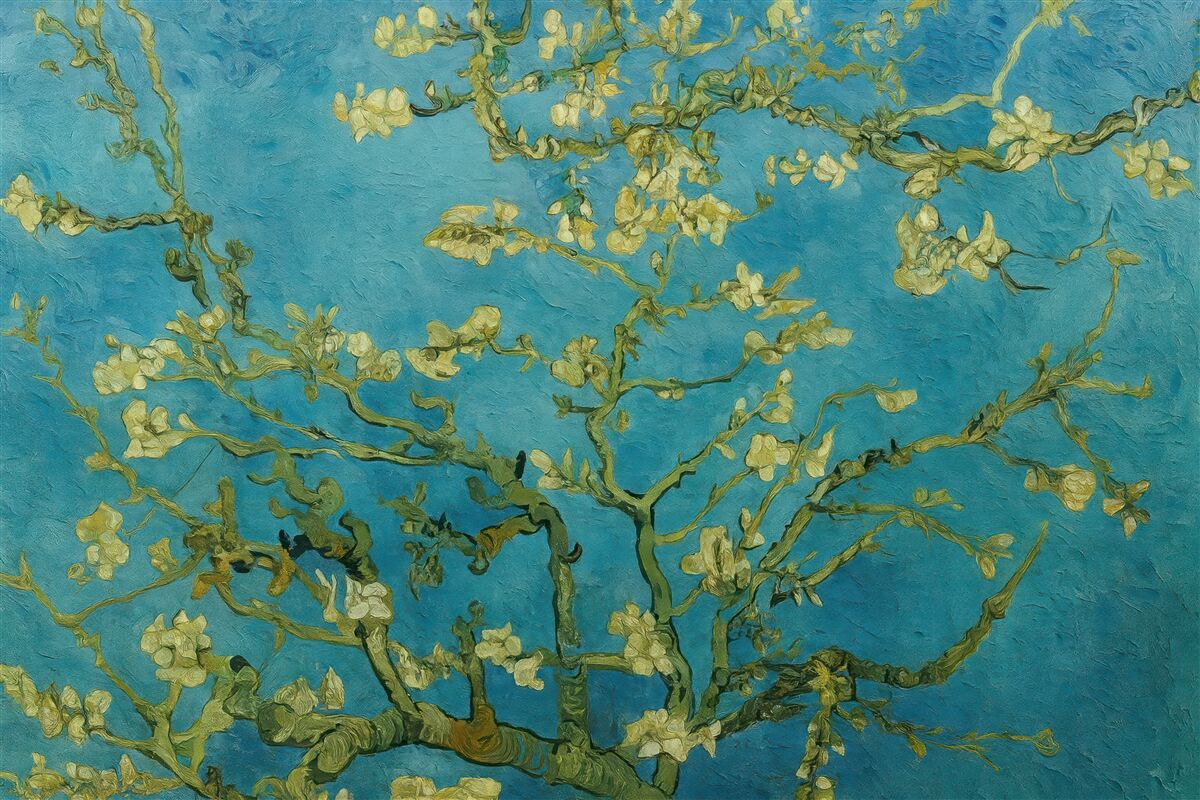 Fototapeta Amandier w kwitnieniu według Van Gogha.