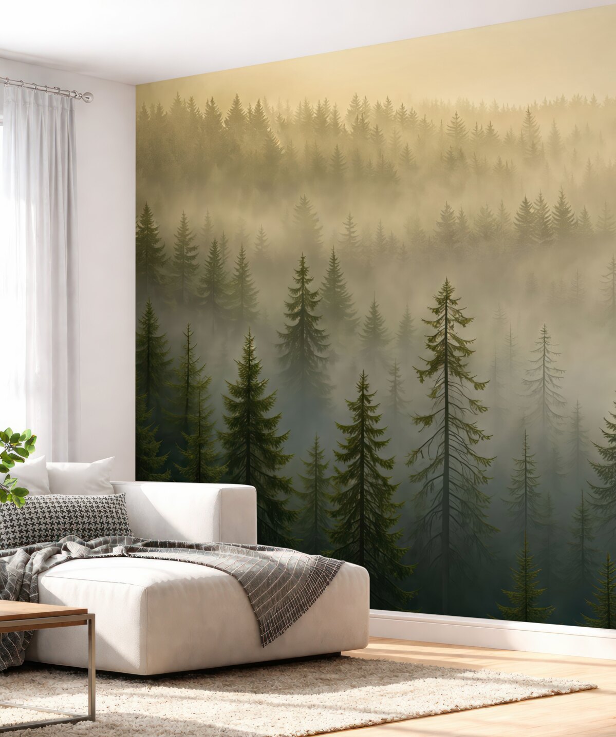 Fototapeta Sylwetka ciemnego świerka otulona mgłą