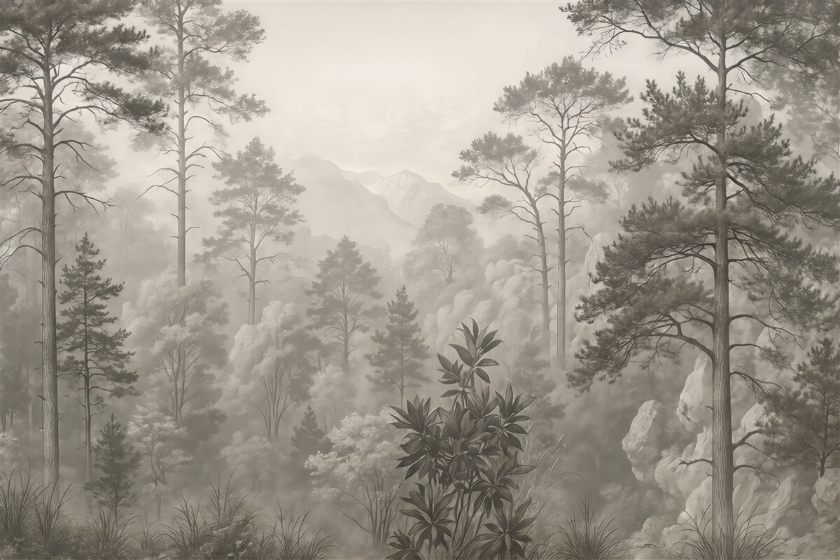 Fototapeta Wysokie drzewa na pagórkach, las w mgle.