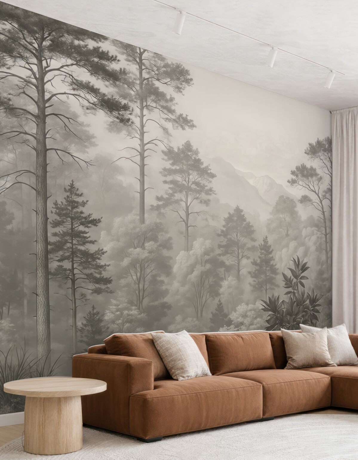 Fototapeta Wysokie drzewa na pagórkach, las w mgle.