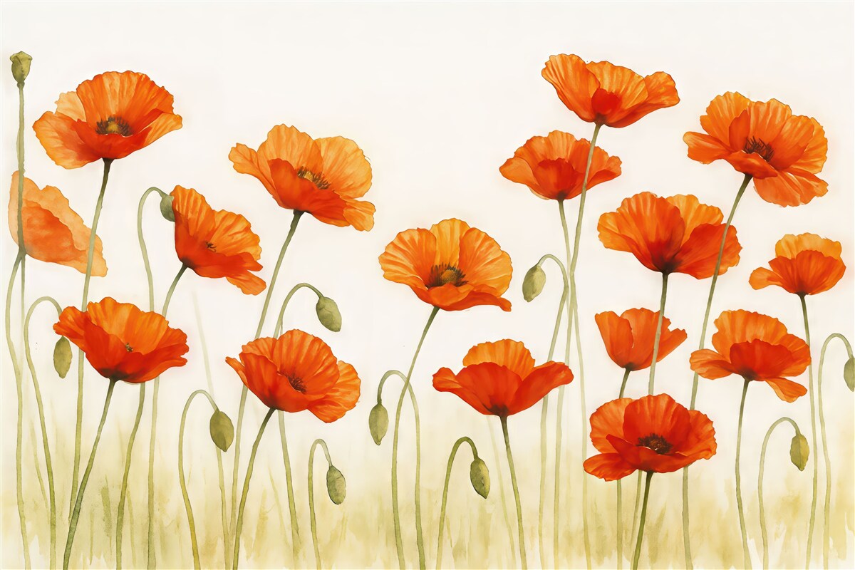 Fototapeta Makowe akwarele na jasnym tle.