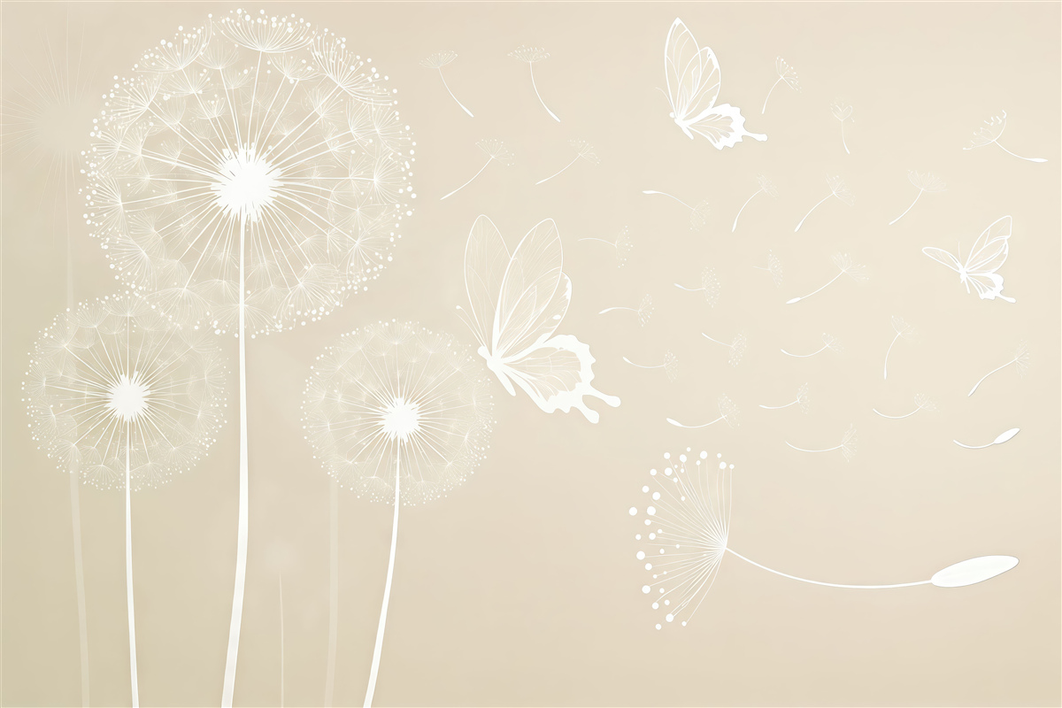 Fototapeta Czułe mlecze z jasnobrązowymi motylami.