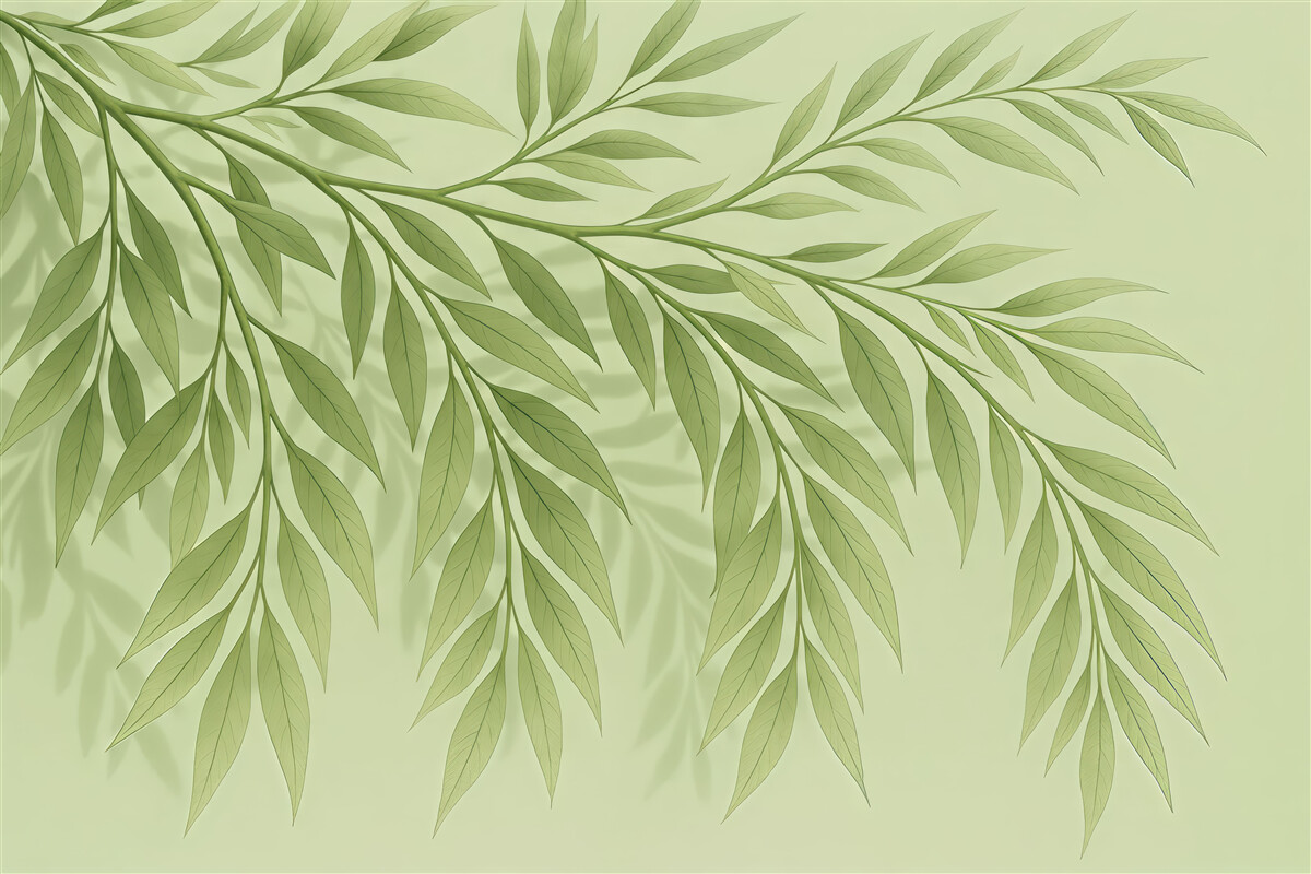 Fototapeta Liście, sombra, odcień oliwkowy.