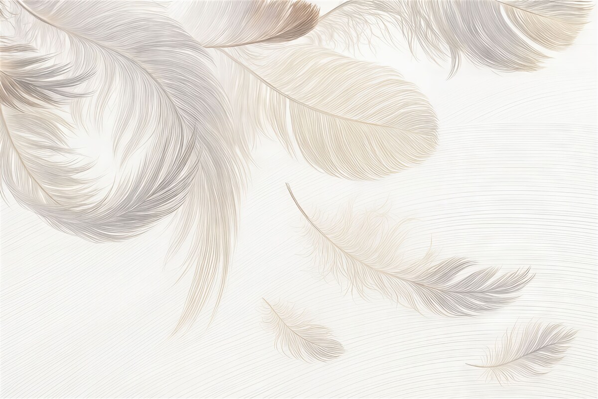 Fototapeta Miękkie, subtelne białe pióra dryfujące na jasnym tle.