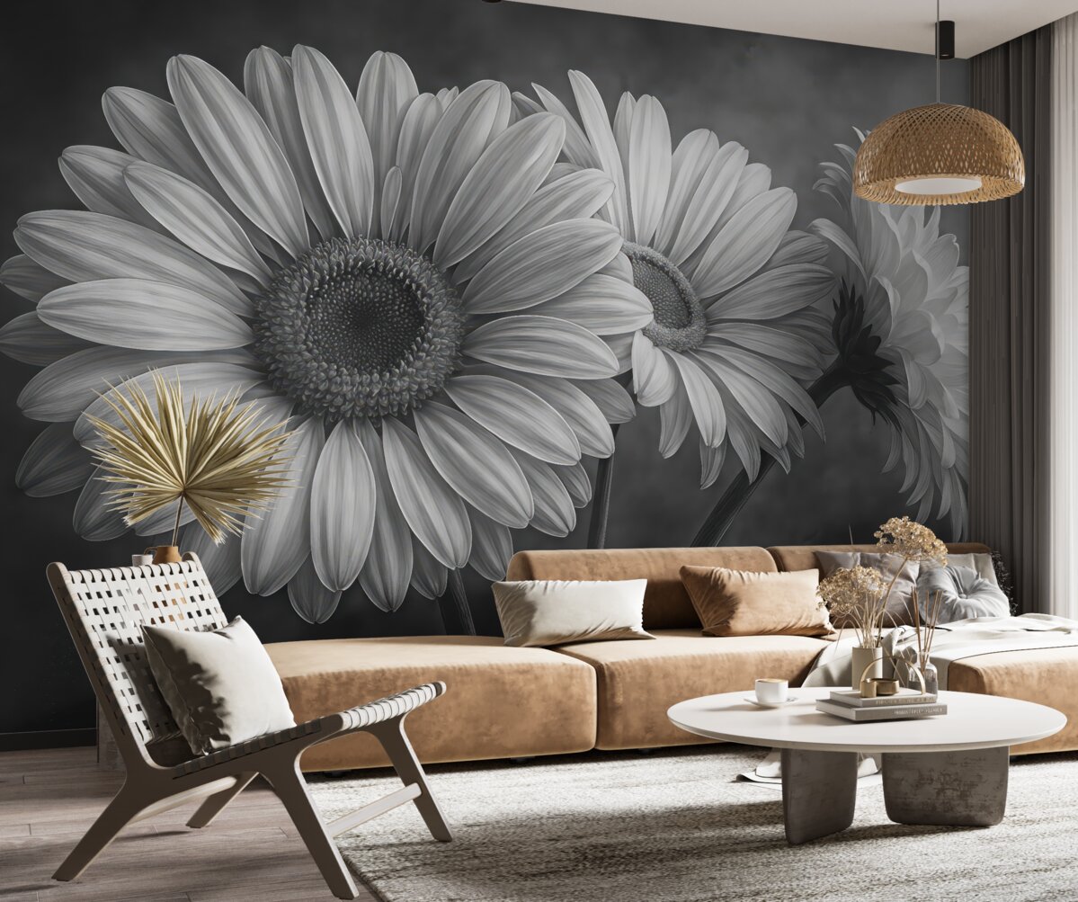 Fototapeta Trzy kwiatki stokrotki.