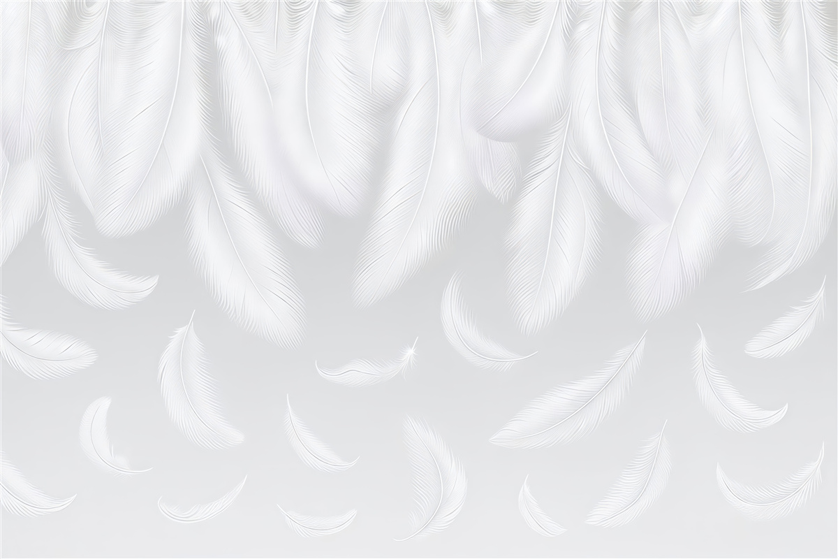 Fototapeta Subtelne białe pióra opadające z góry na przyjemnym szarym tle.