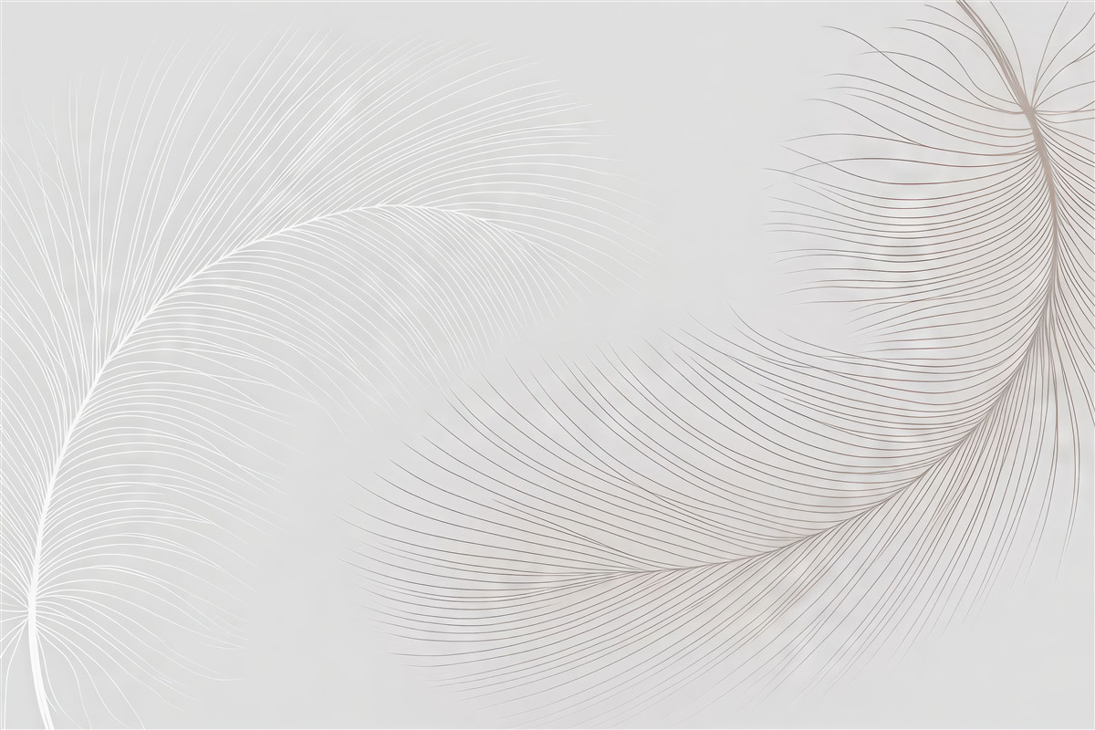 Fototapeta Subtelne piórka.