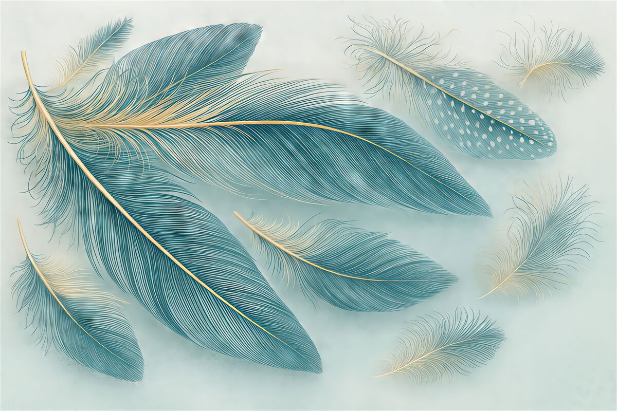 Fototapeta Subtelne pióra w tonacjach niebieskiego.