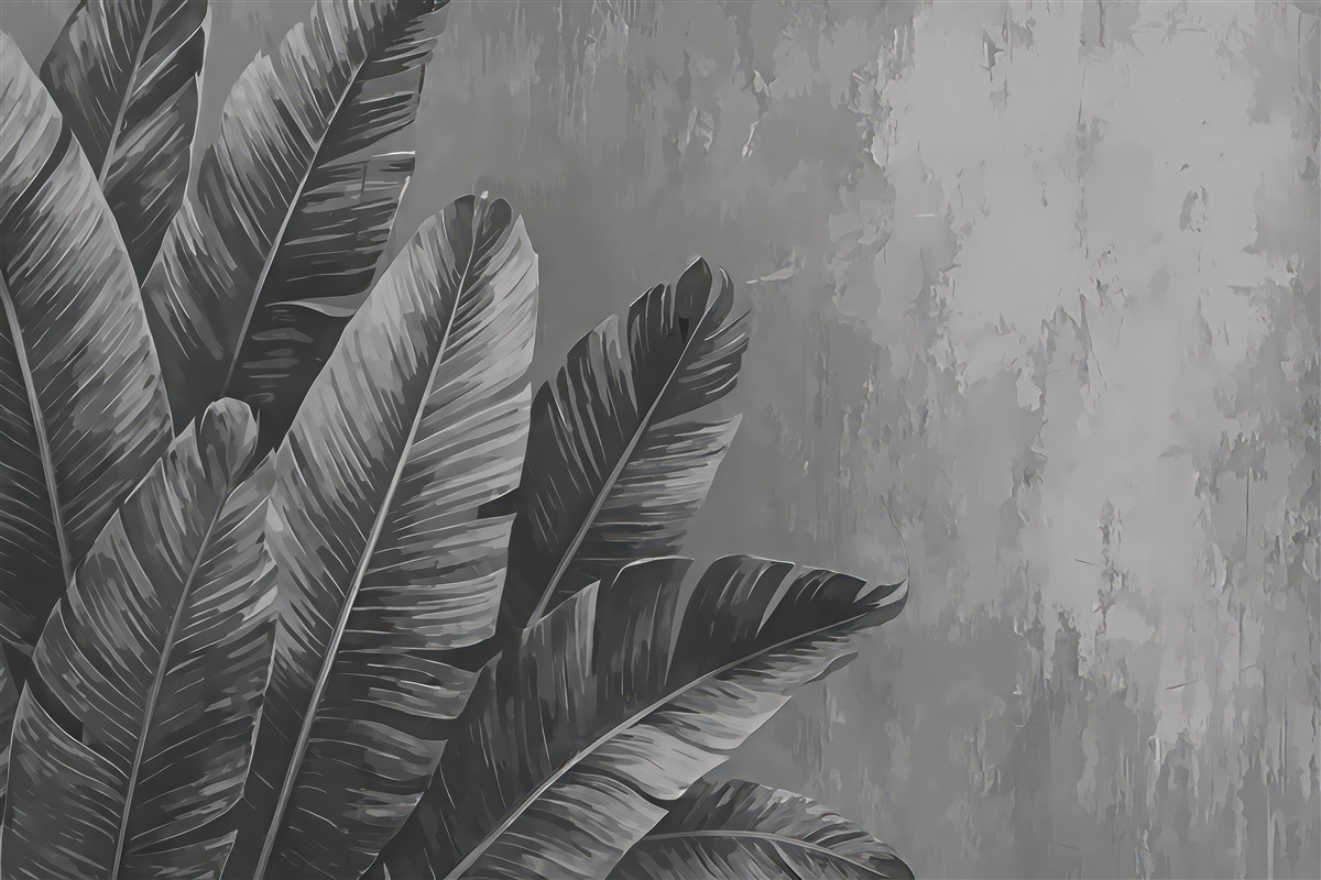 Fototapeta Liście w odcieniach szarości.