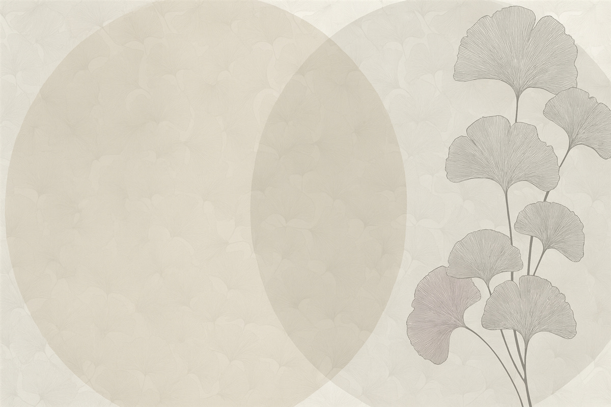 Fototapeta Ogromne liście ginkgo i geometria